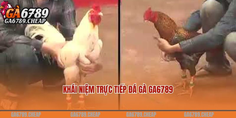 Khái niệm trực tiếp đá gà GA6789 là gì?